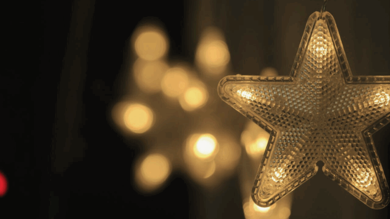 2024 Year in Review: Wins, Growth and Gratitude