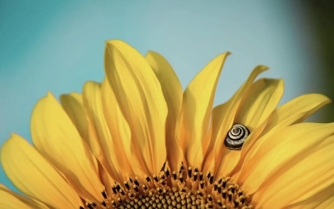 Stretching Into Authenticity
