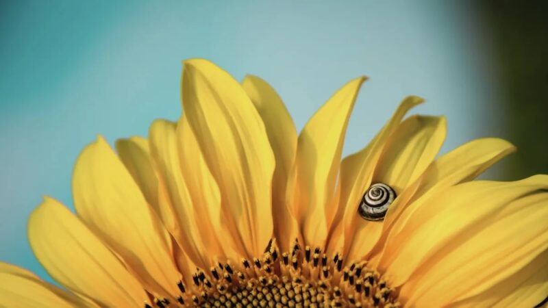 Stretching Into Authenticity