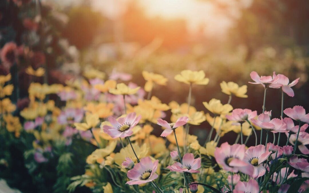 Holding Onto Summer, Making Space for Change