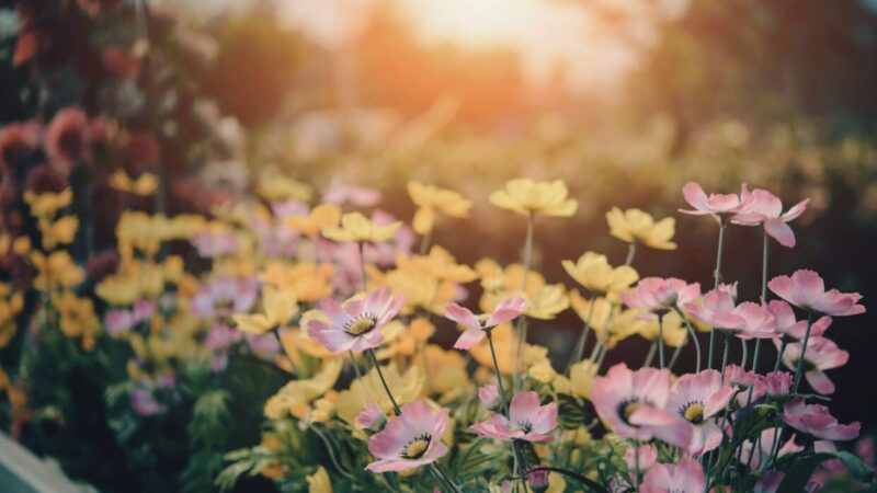 Holding Onto Summer, Making Space for Change